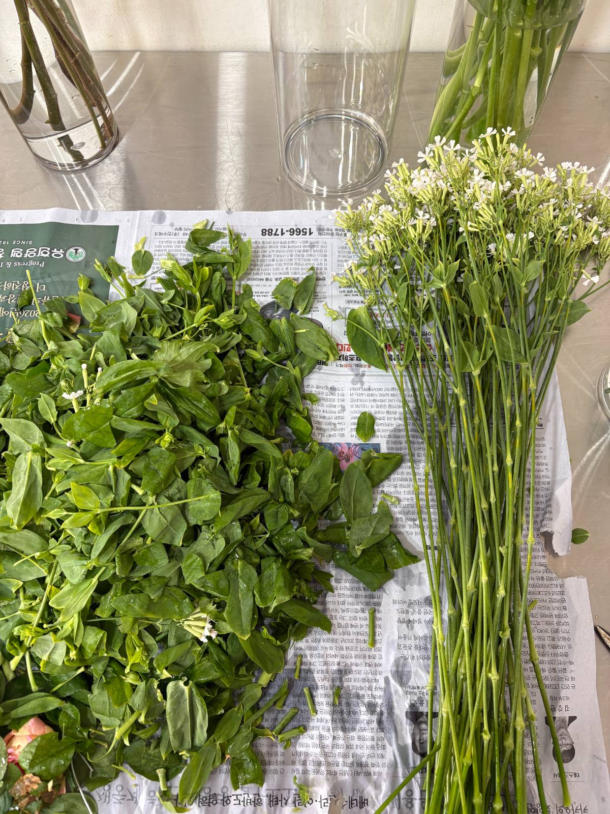 이렇게나 깔끔하게 ! 나물 다듬는 느낌이에요