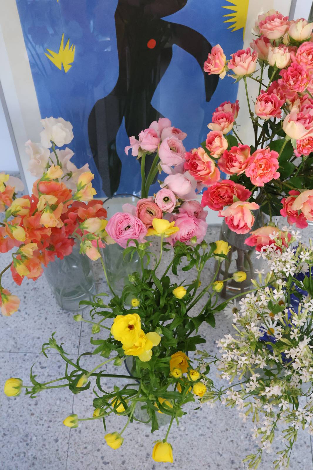 사랑스러운 오늘 들어온 꽃 라인업, 매일 봐도 예뻐요😍 그냥 감탄을 내지릅니다... 