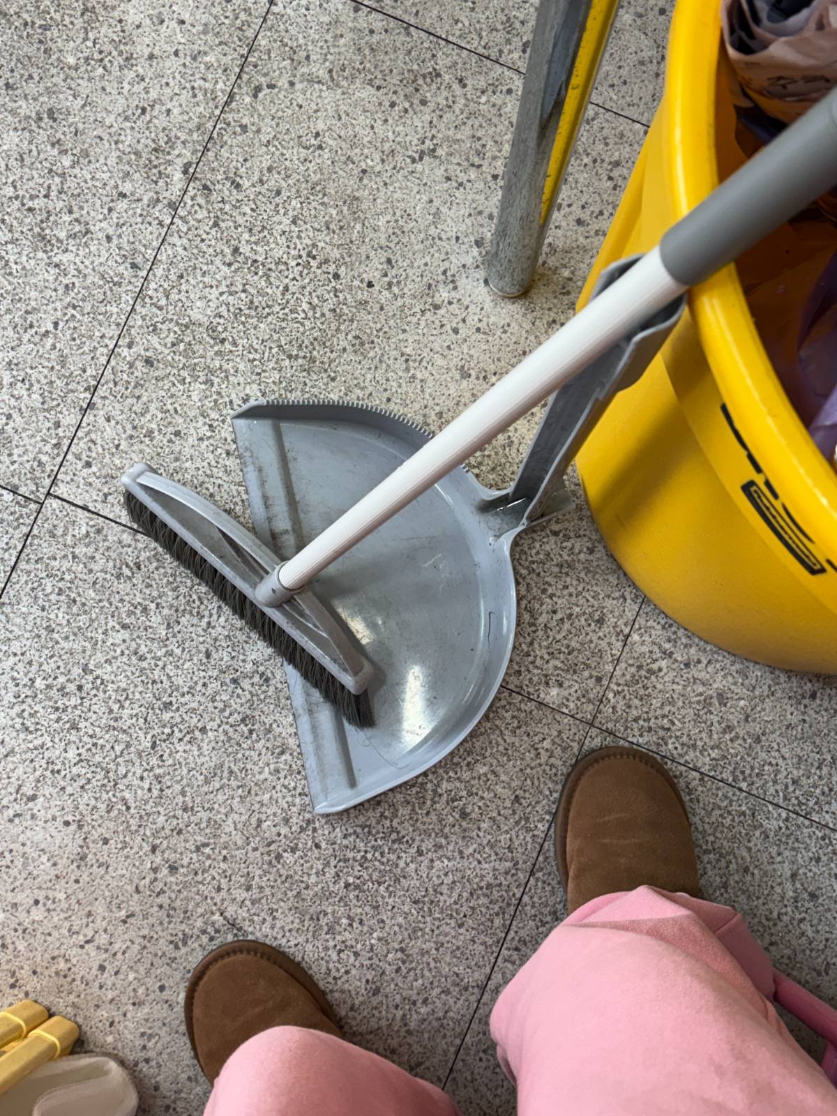 하루에 빗질은 기본 3번+알파...