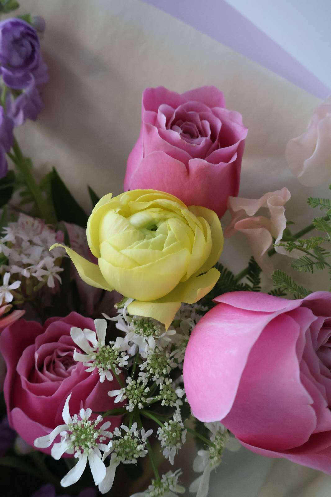 하.. 이 사탕처럼 귀여운 라넌큘러스와 장미... 💛