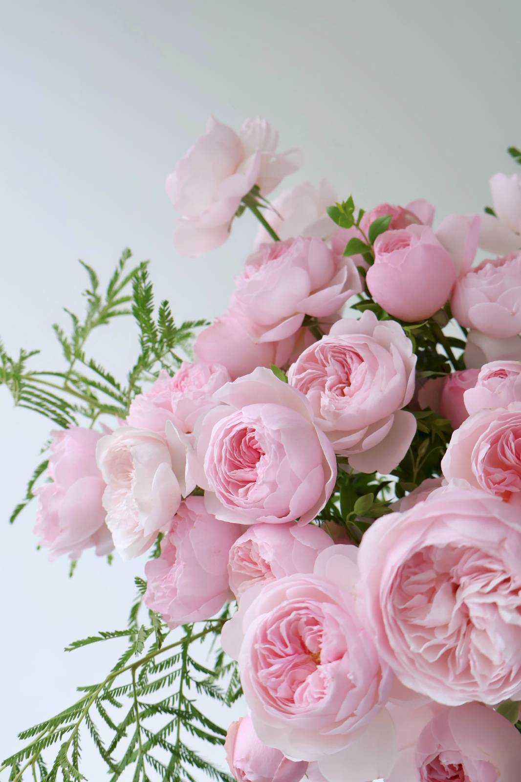 저는 향을 알아서 이 사진을 보면 향이 왈칵 모니터를 넘어 들이닥치는 기분이에요....