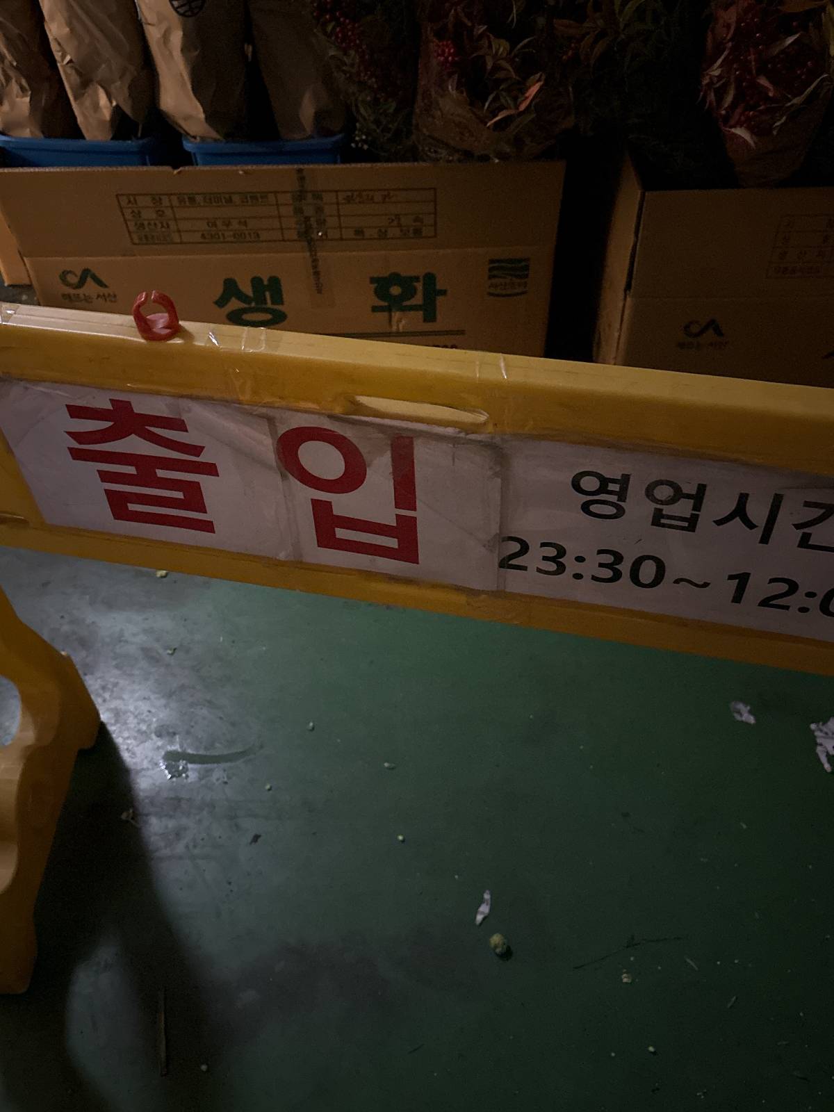 11시부터 어둠 속에서 기다리기. 저 맨 앞줄이었어요ㅋ