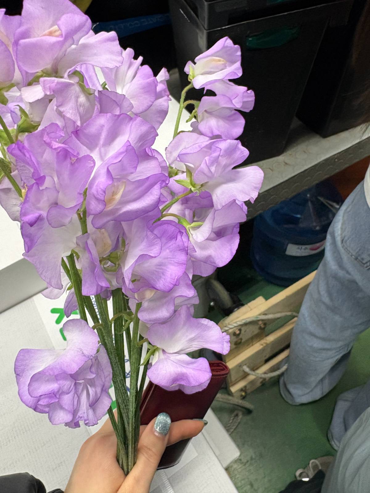 계산하려고 한 20분은 줄 서서 기다린 거 같아요.. 나의 소듕한 스위트피......