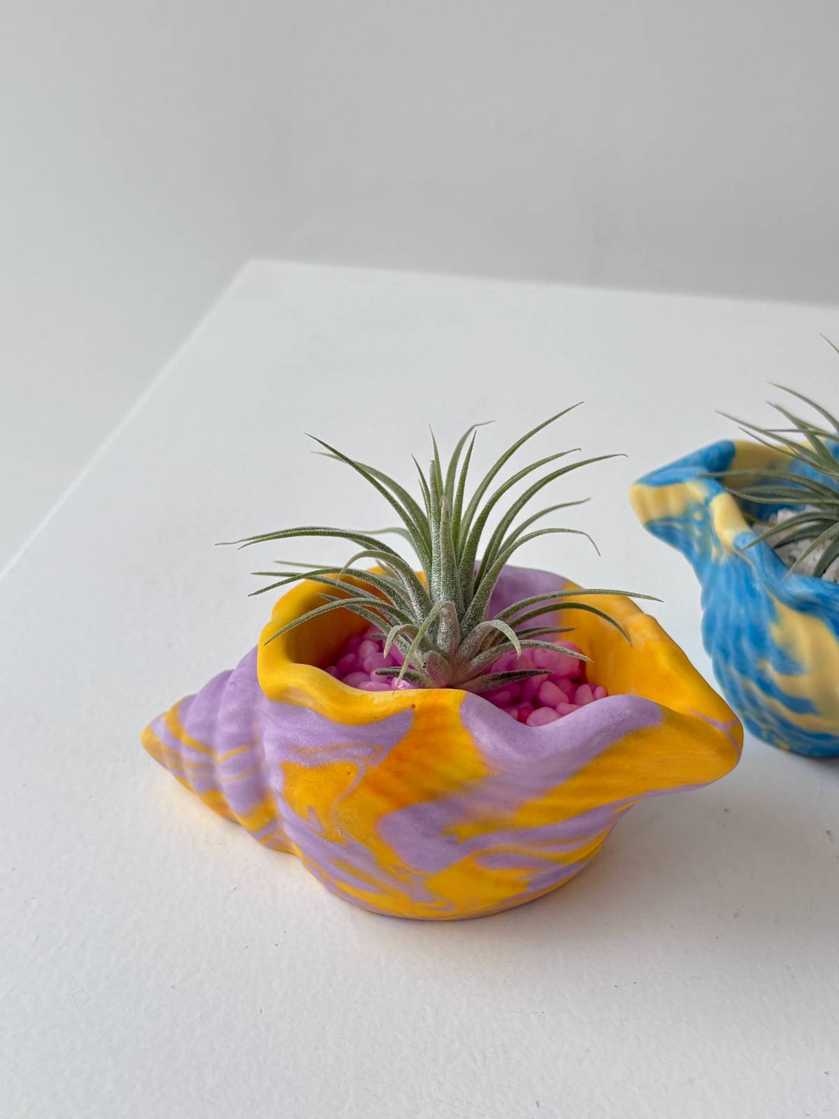 스텔링 자체 제작 컬러링 조개 + 이오난사 세트