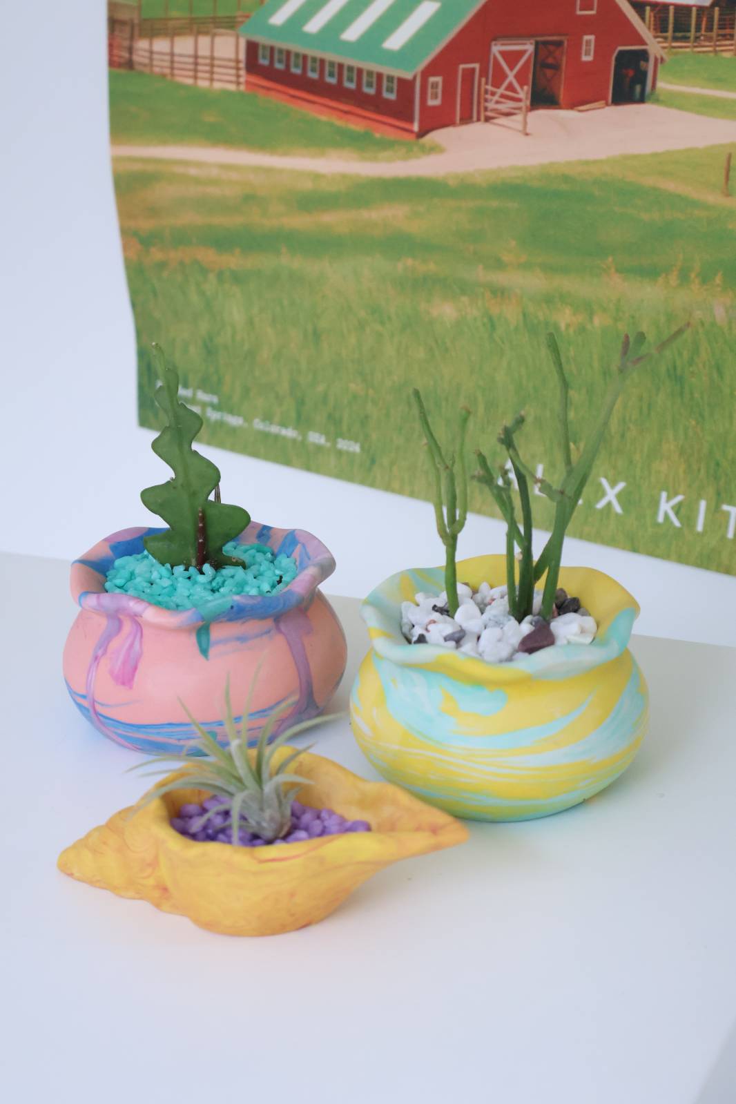 조개(이오난사) / 뒷줄 왼쪽(핑크) 피쉬본 - 오른쪽(옐로) 연필선인장