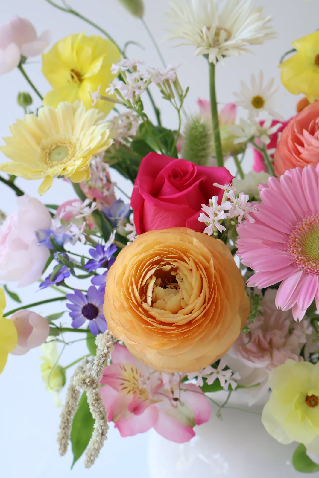 피치 컬러 라넌