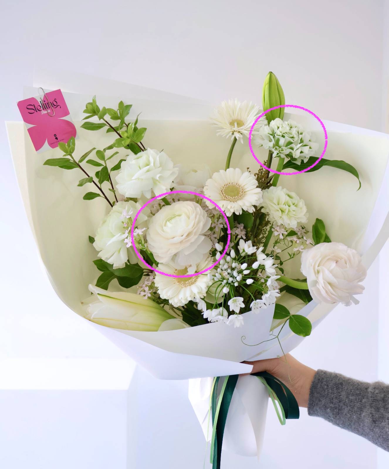 위쪽 그린이 섞인 게 폼폼, 아래쪽은 하노이 라넌큘러스