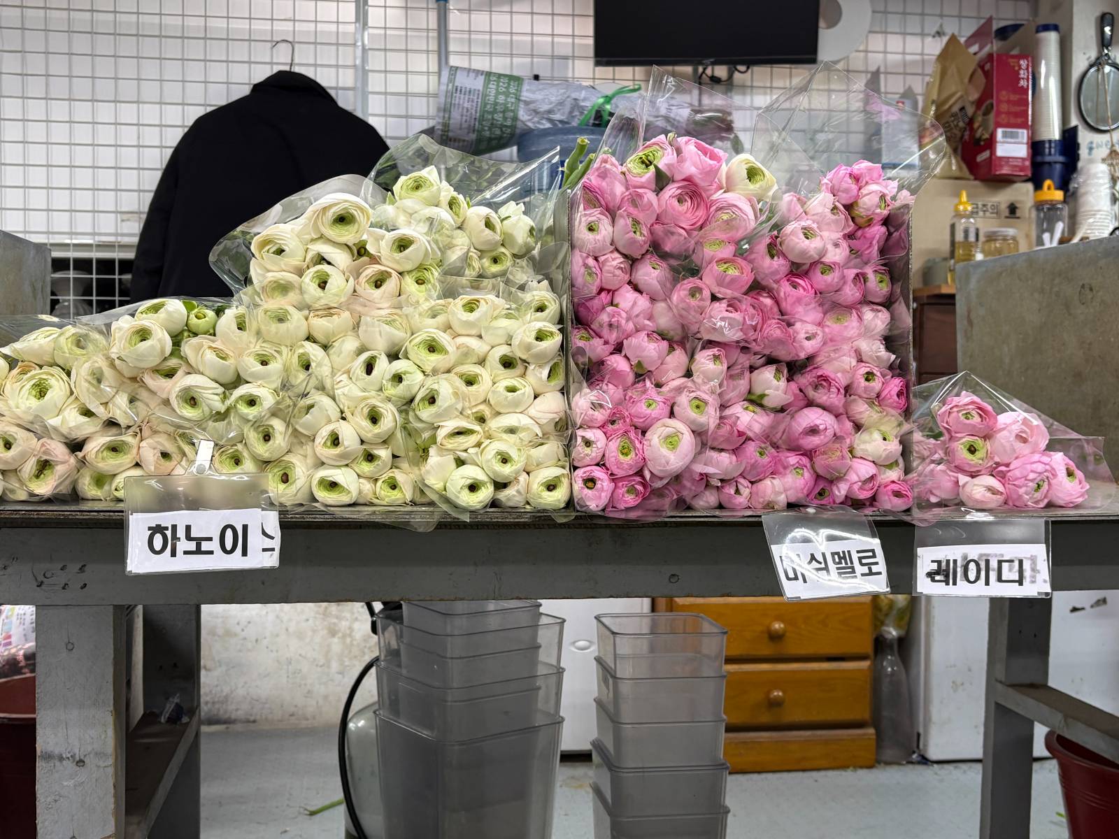 꽃시장에서 라넌 종류가 한눈에 보여서 사진을 찍어두었답니다.&nbsp;