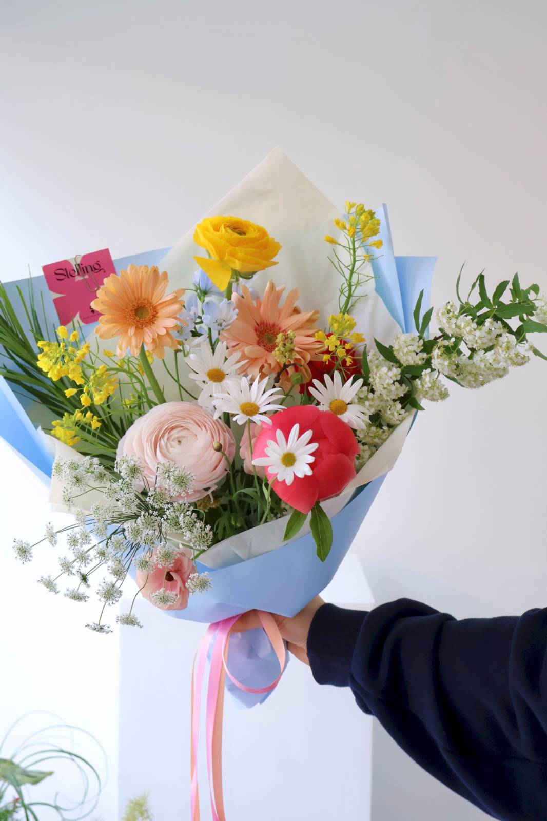 오른쪽 위쪽 진한 노랑 라넌-아래쪽에 연핑크 라넌도 이제는 보이시죠?!