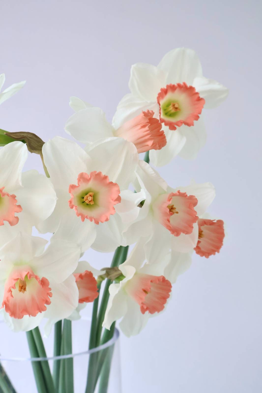 스텔링플라워 💌 평범한 직장인이 꽃집 사장이 된 과정의 썸네일 이미지