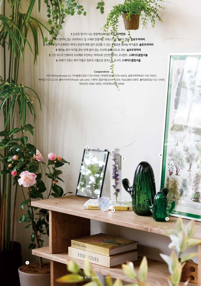 저는 화보도 많이 찍었어요. 아이템 섭외+세팅 담당