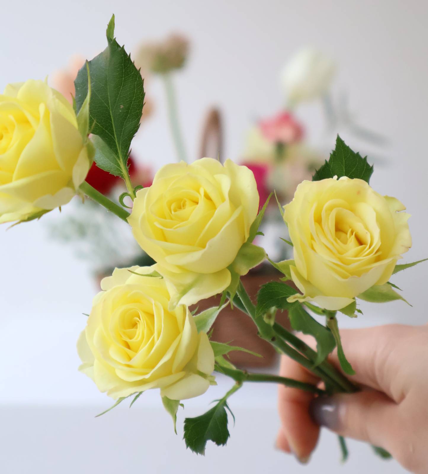 귀엽고 고운 컬러의 웨딩 인바이트 장미