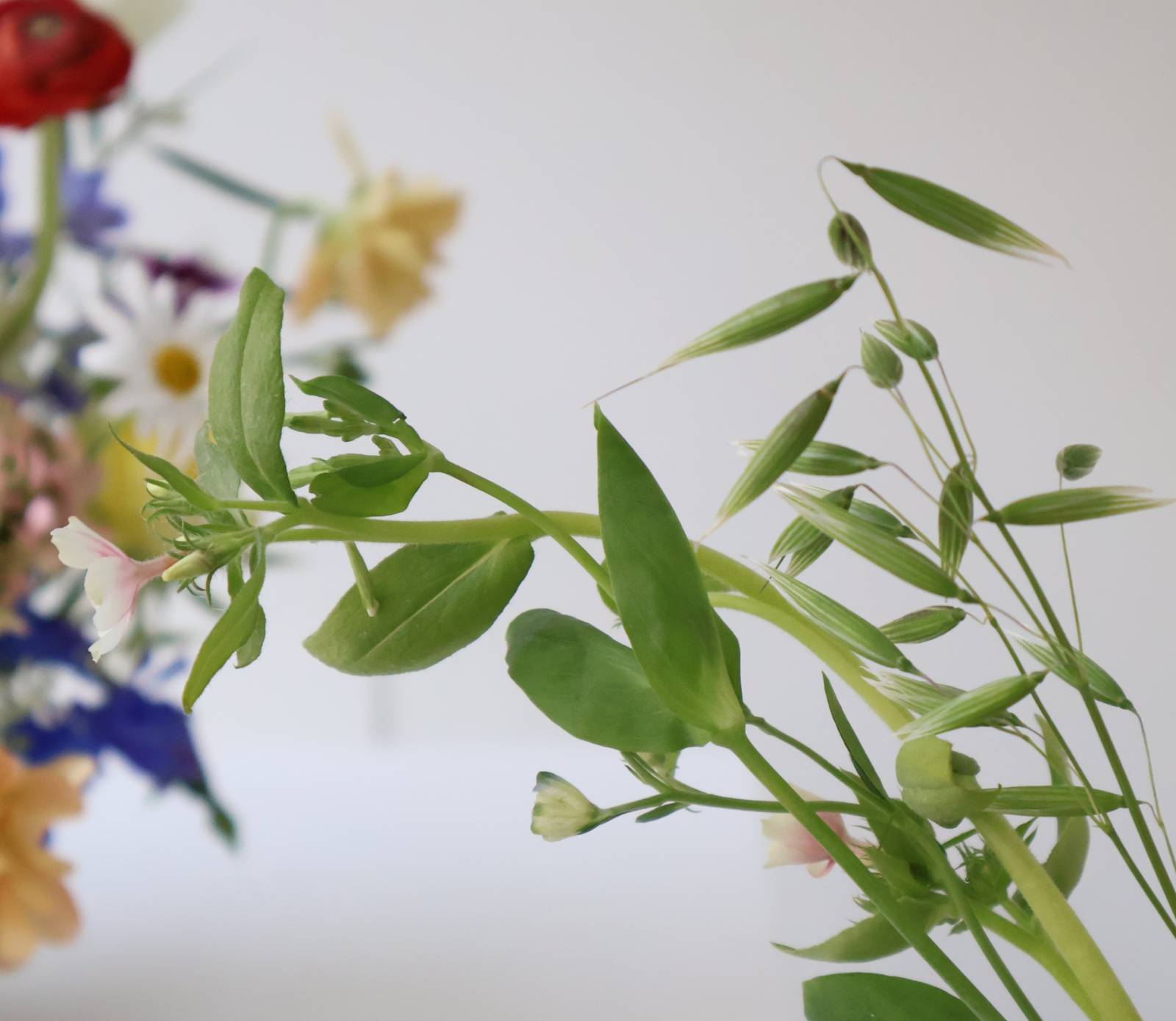 귀여운 그린 소재, 라인 예쁜 필러 소재 모아두었다가 쓸 차례에요