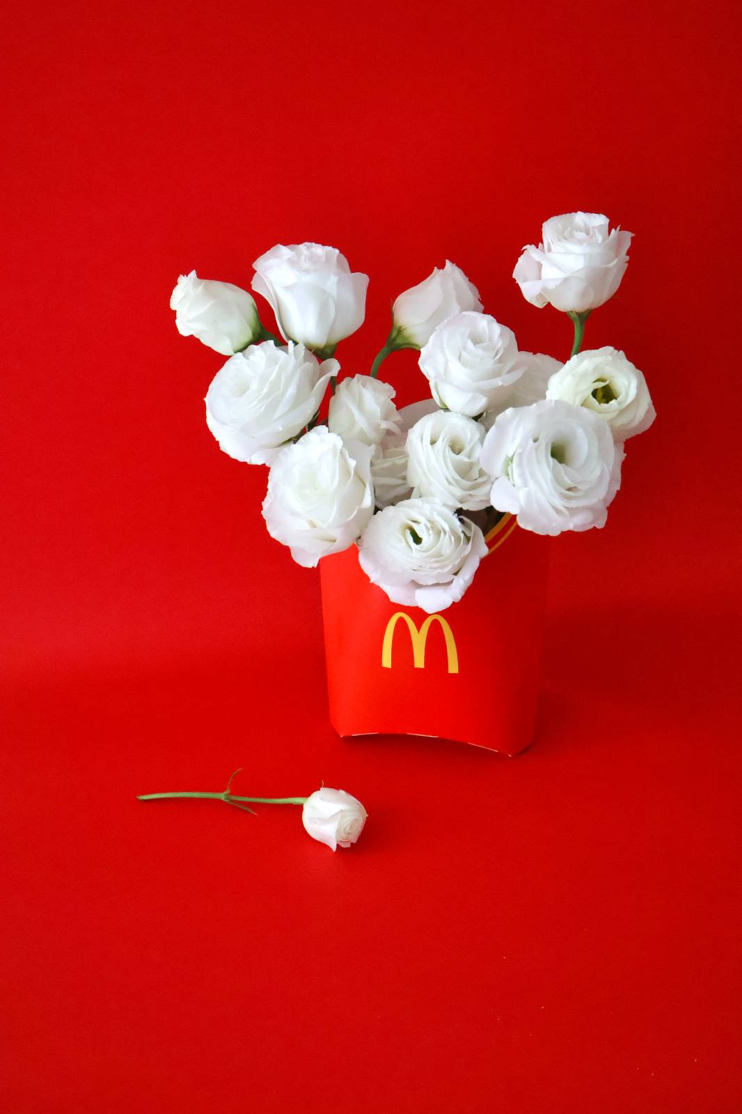 이게 바로 핀터레스트 감성! 감튀 먹다가 뚝딱 요정도 퀄리티 세팅-사진까지 찍을 수 있는 사람 별로 없을걸요😂