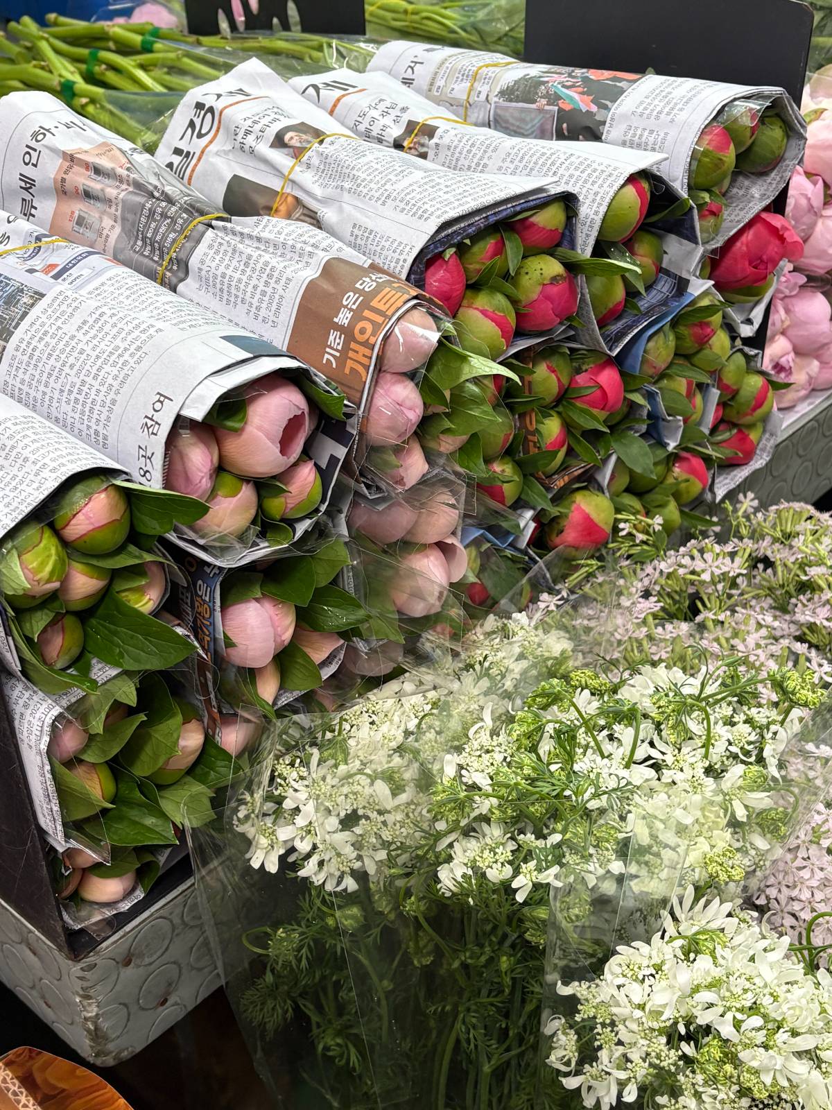 바로 사용한다 해도 시장에서 매장/집까지 가는 길에 꽃이 다 필 확률이 높으니 너무 몽우리가 벌어진 꽃은 사지 않는 게 좋아요.