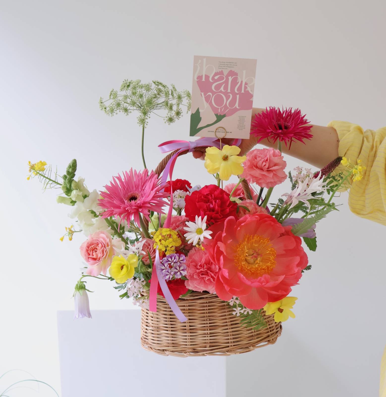 같은 작약도 피면 이렇게나 달라져요. 코랄 작약은 꽃 중앙의 수술이 노랑색이라 대비되는 컬러감 덕분에 더욱 화려해요!