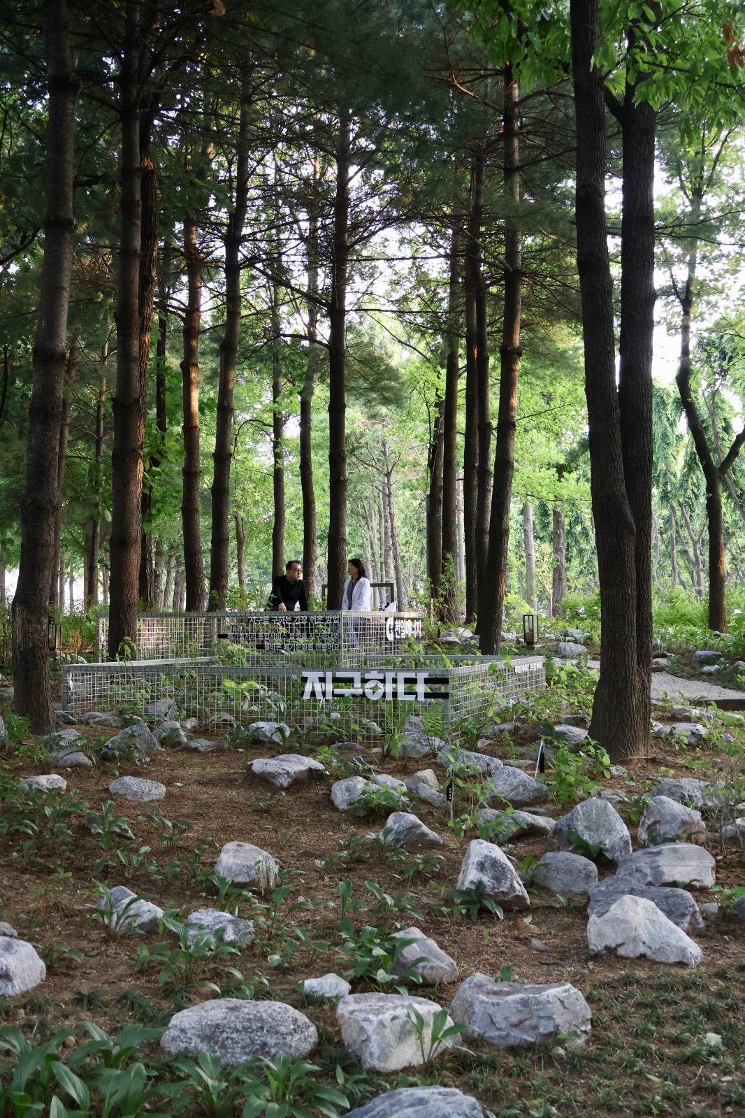 첨부 이미지