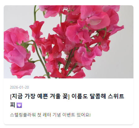 아직 못 본 분이 있다면 스위트피를 꼼꼼하게 소개해드린 첫번째 레터 구경해보세요-!