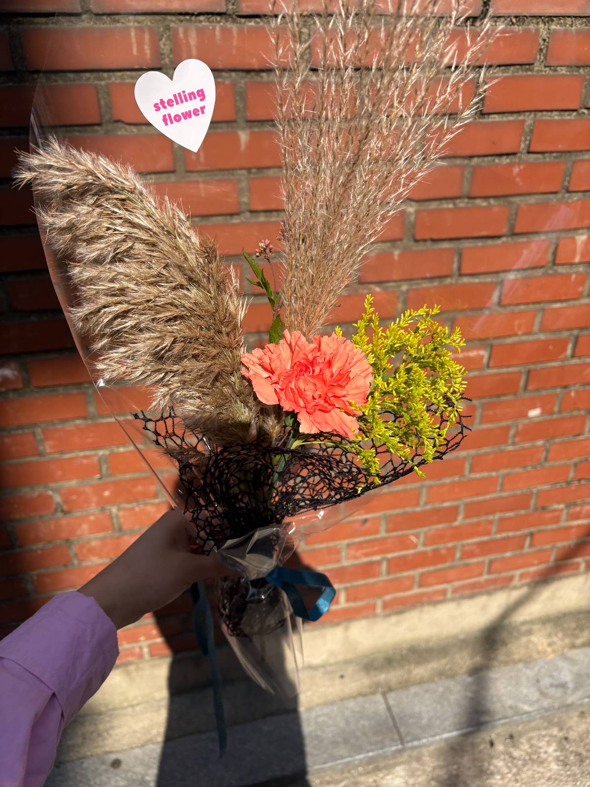 가을 소재는 투명 비닐 포장도 잘 어울려요