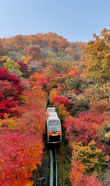 이미지를 누르면 화담숲 공식 홈페이지로 이동합니다.