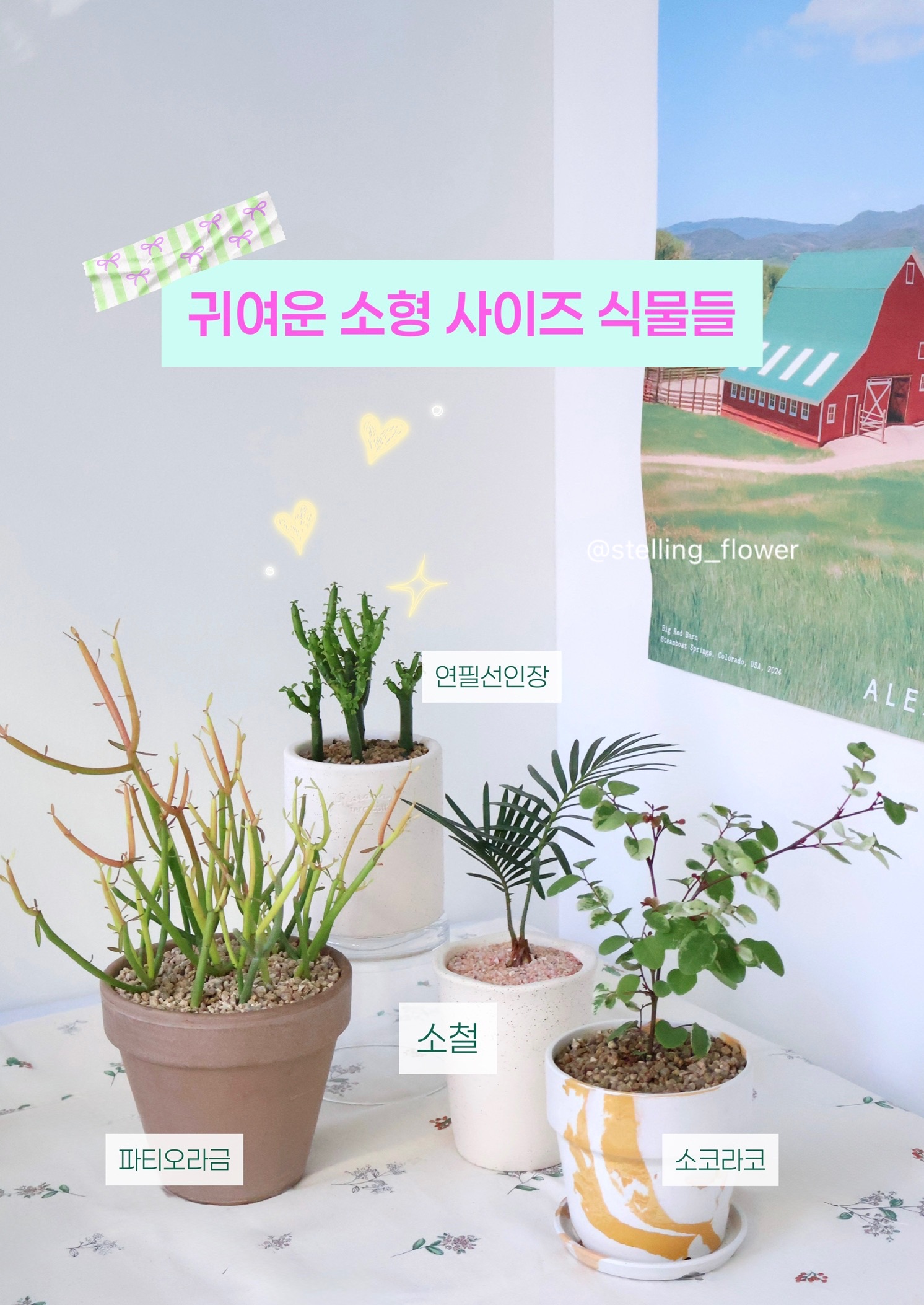 첨부 이미지