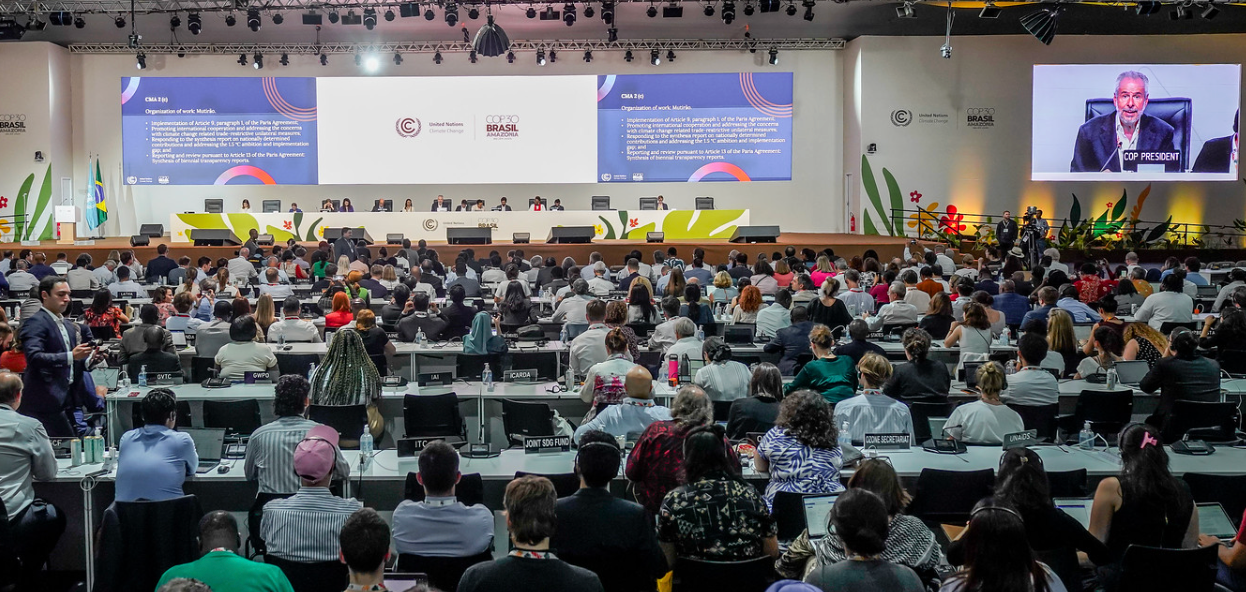 (image source : COP30)