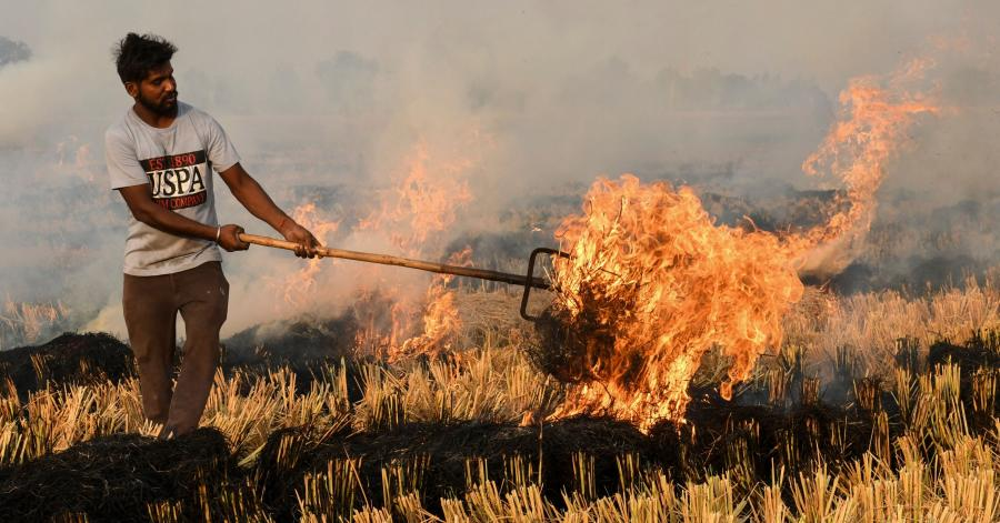 (image source : International Growth Centre)