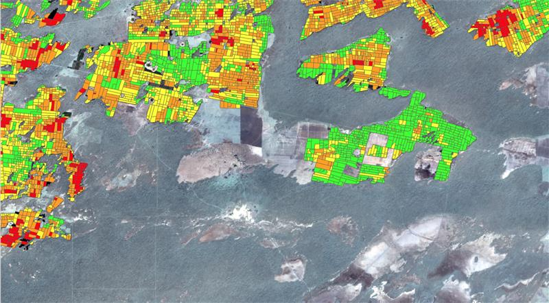 버닝센스 기술을 활용한 파키스탄 밀 재배지역 바이오차 프로젝트 베이스라인 조사