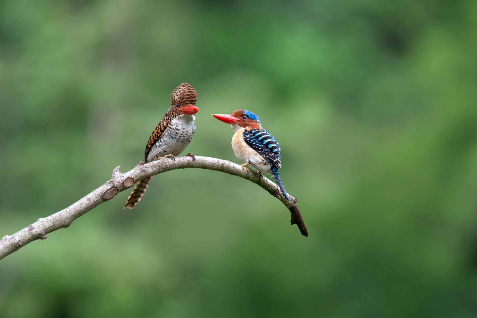 [사진. GRI 기사]