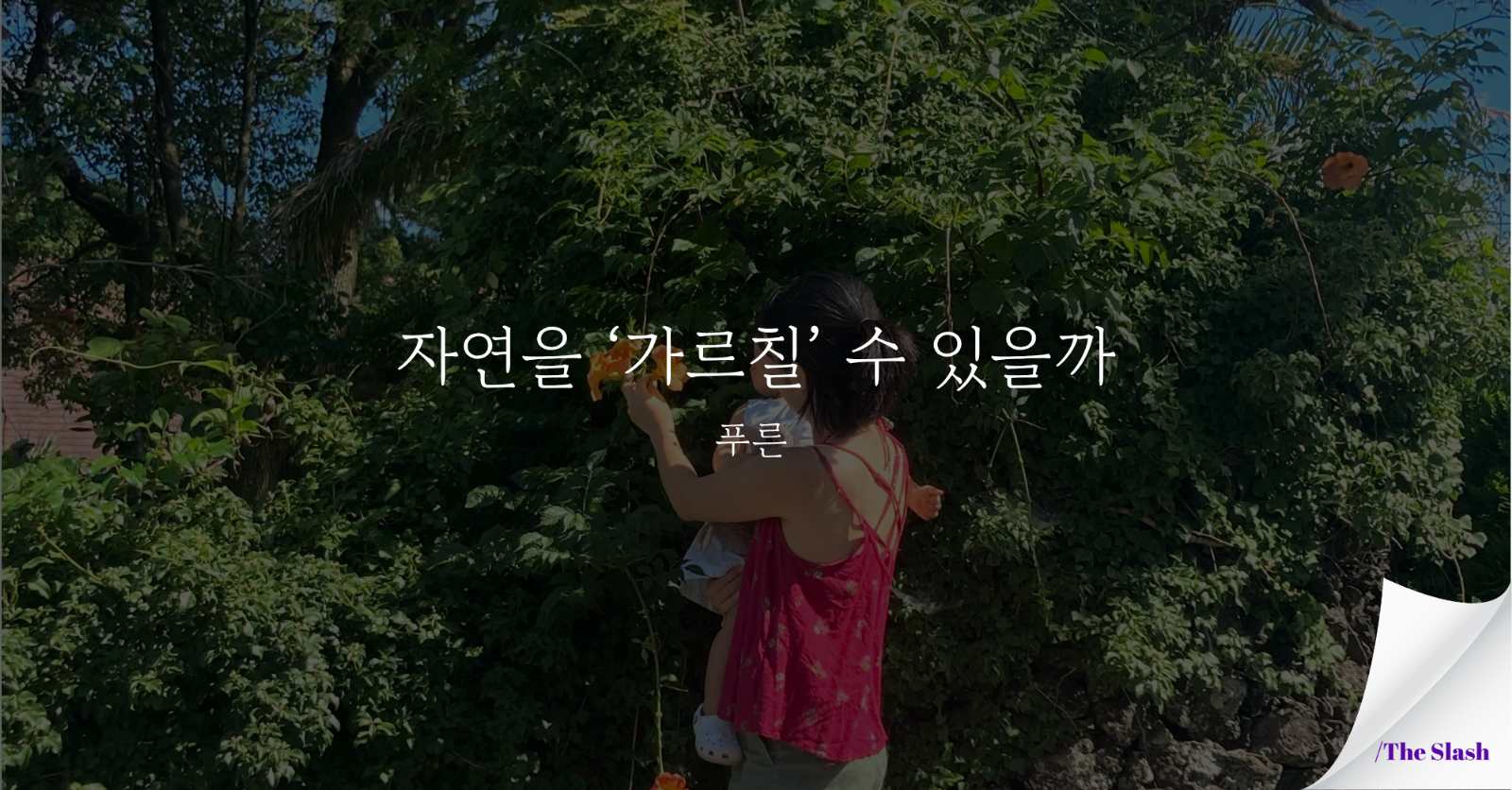 자연을 '가르칠' 수 있을까의 썸네일 이미지