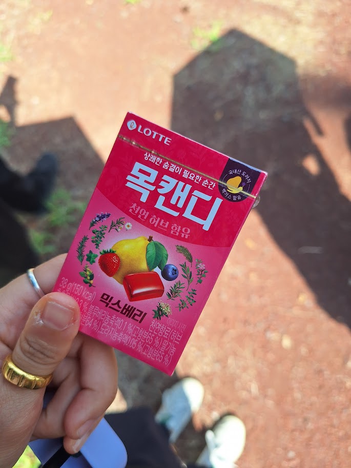 첨부 이미지