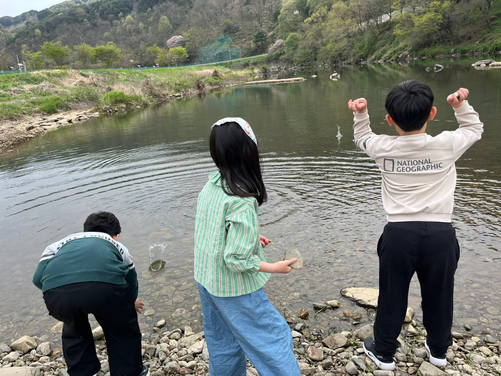 사진: 먼지