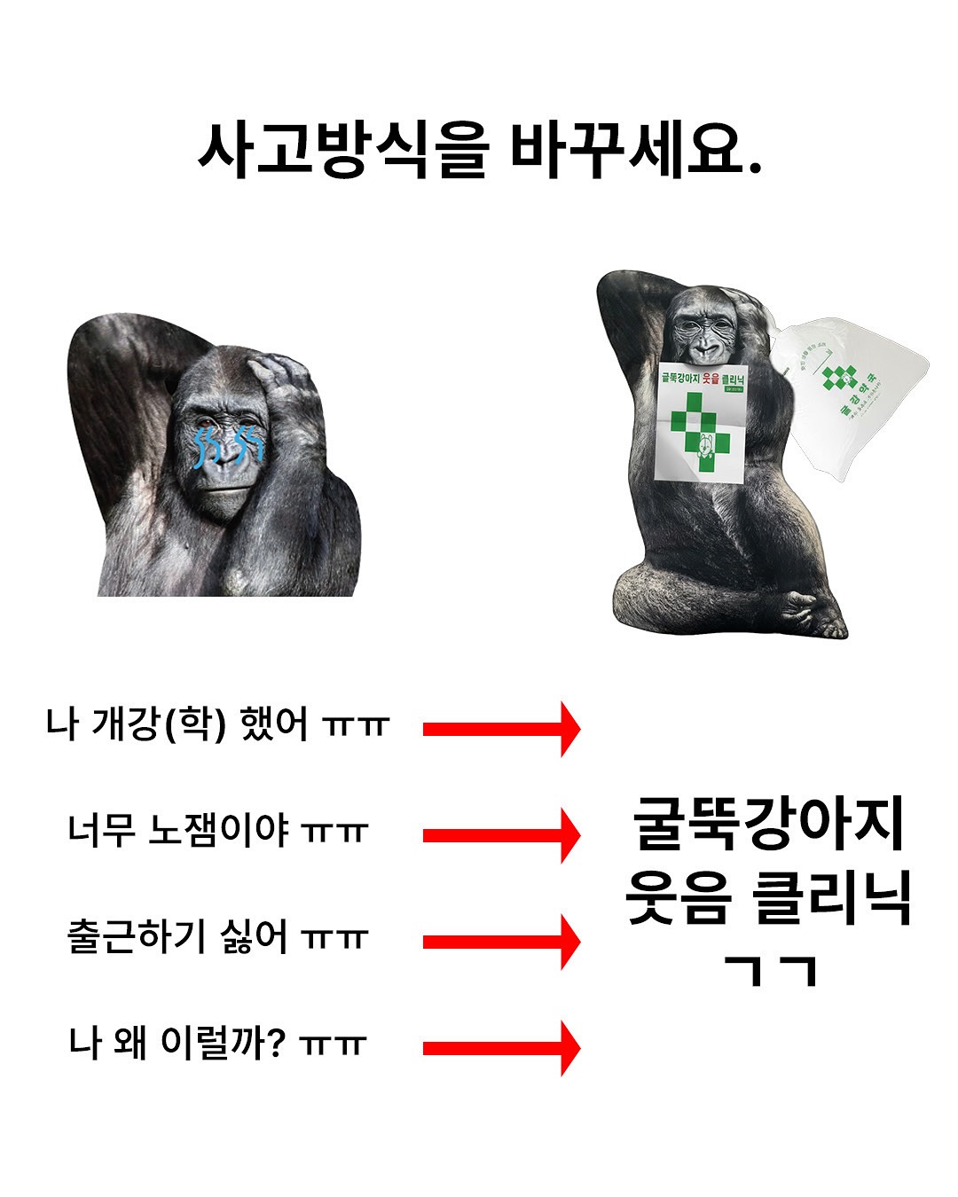 [출처] @gulgang_official 인스타그램