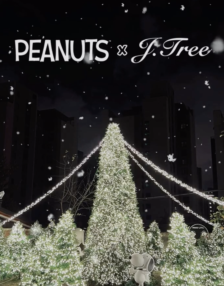 [출처] 제이닷 트리 공식 인스타그램 @j_dot_tree