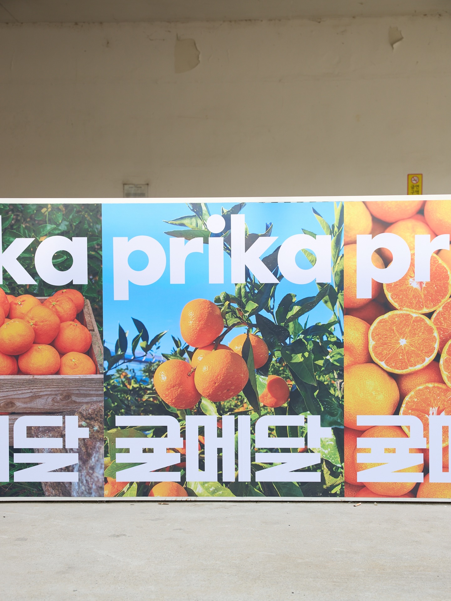 [출처] @prika.official 인스타그램