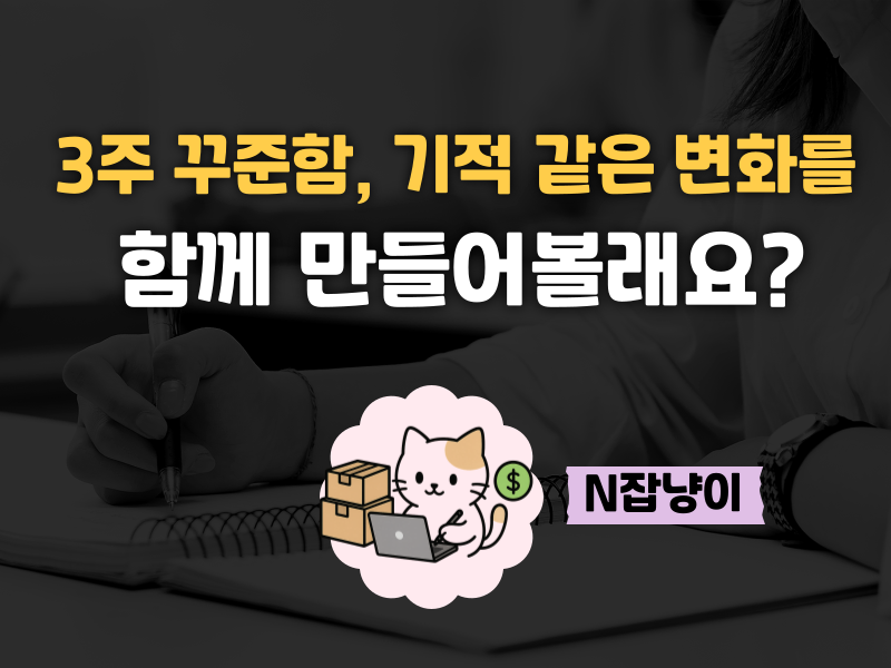 블스챌클럽 1기 모집 마감 D-2!의 썸네일 이미지