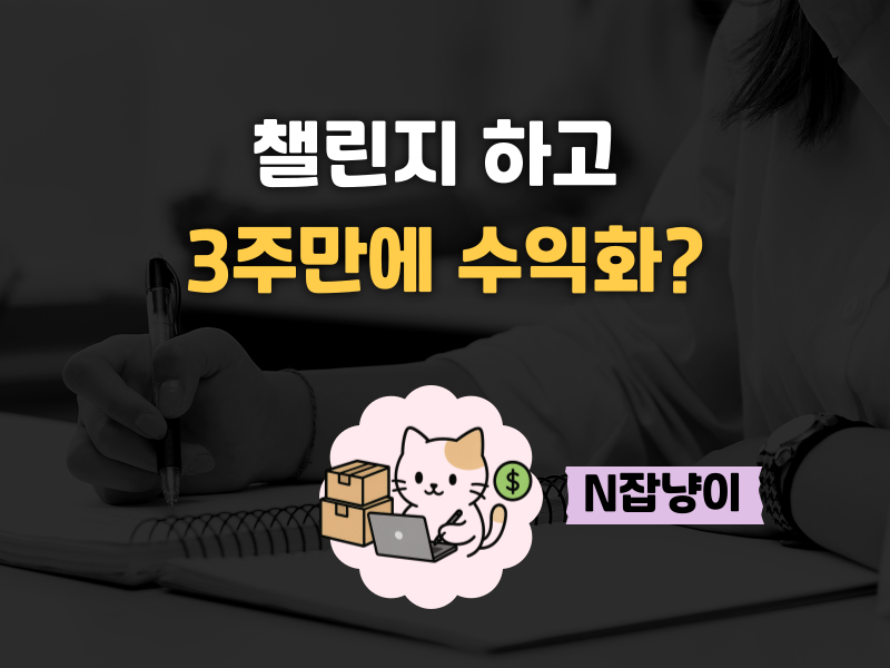 블로그로 월 300만원 버는 챌린지 멤버들의 썸네일 이미지