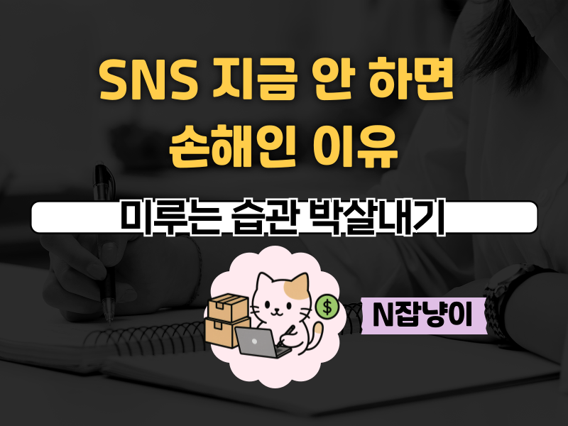 SNS 지금 안 하면 손해인 이유, 지금이 기회의 썸네일 이미지