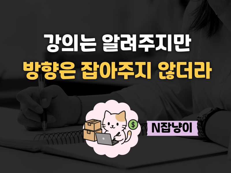 N잡냥이님, 왜 강의 안 해요?의 썸네일 이미지