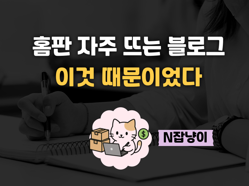 매일 홈판 뜨는 블로그는 뭐가 다를까? 의 썸네일 이미지