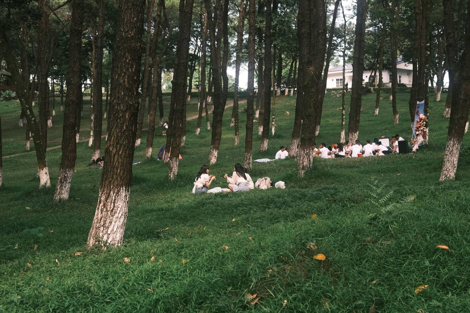 첨부 이미지