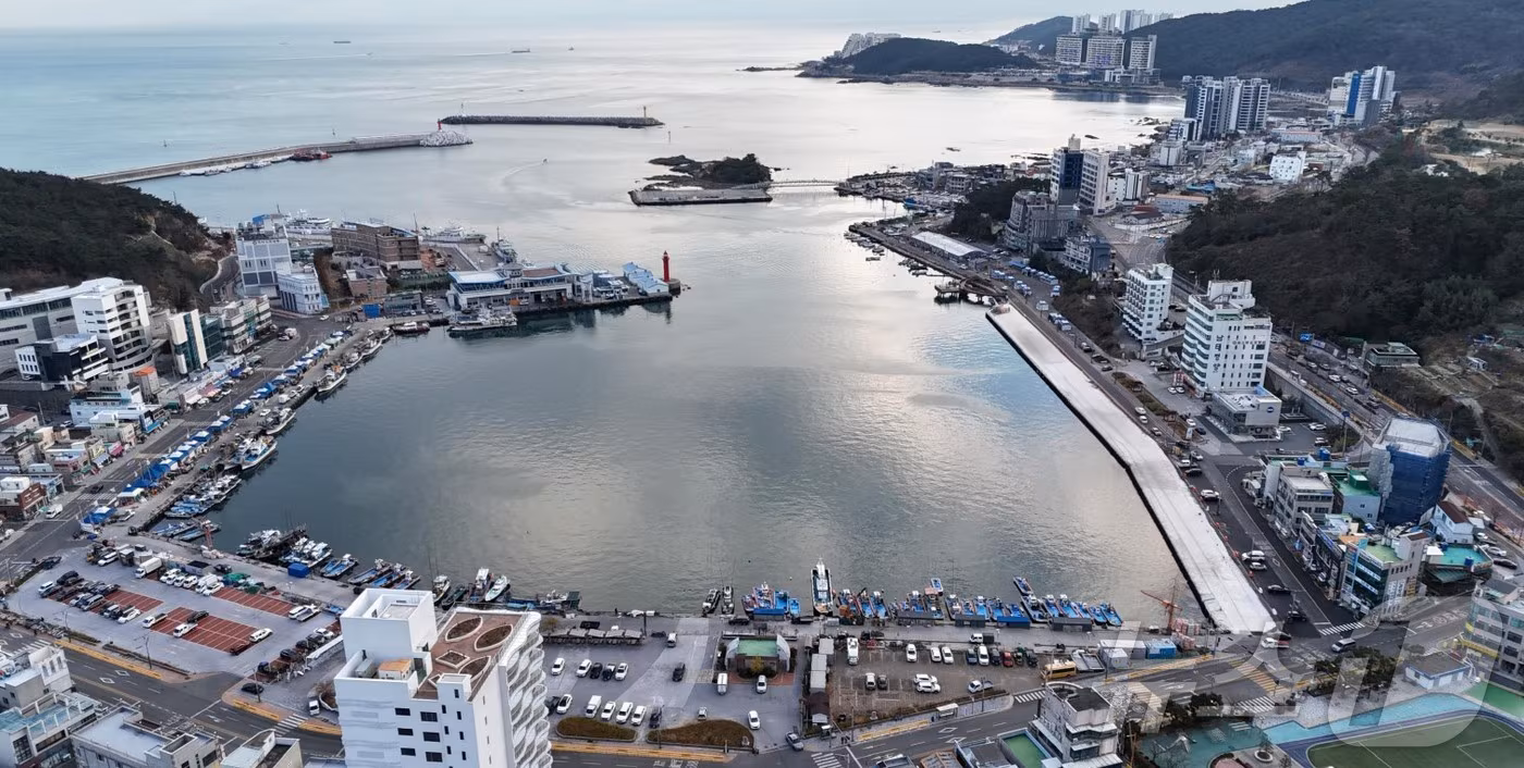 첨부 이미지