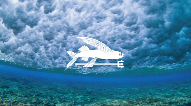 🌊 다음 번의 바다를 기약하며~ 밤에 보는 뉴스 '야후 재팬' 읽어드립니다 #144 '여름의 기억 아침編'의 썸네일 이미지