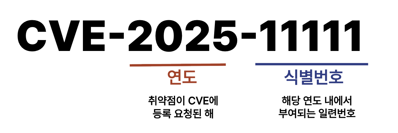 CVE 구성 설명