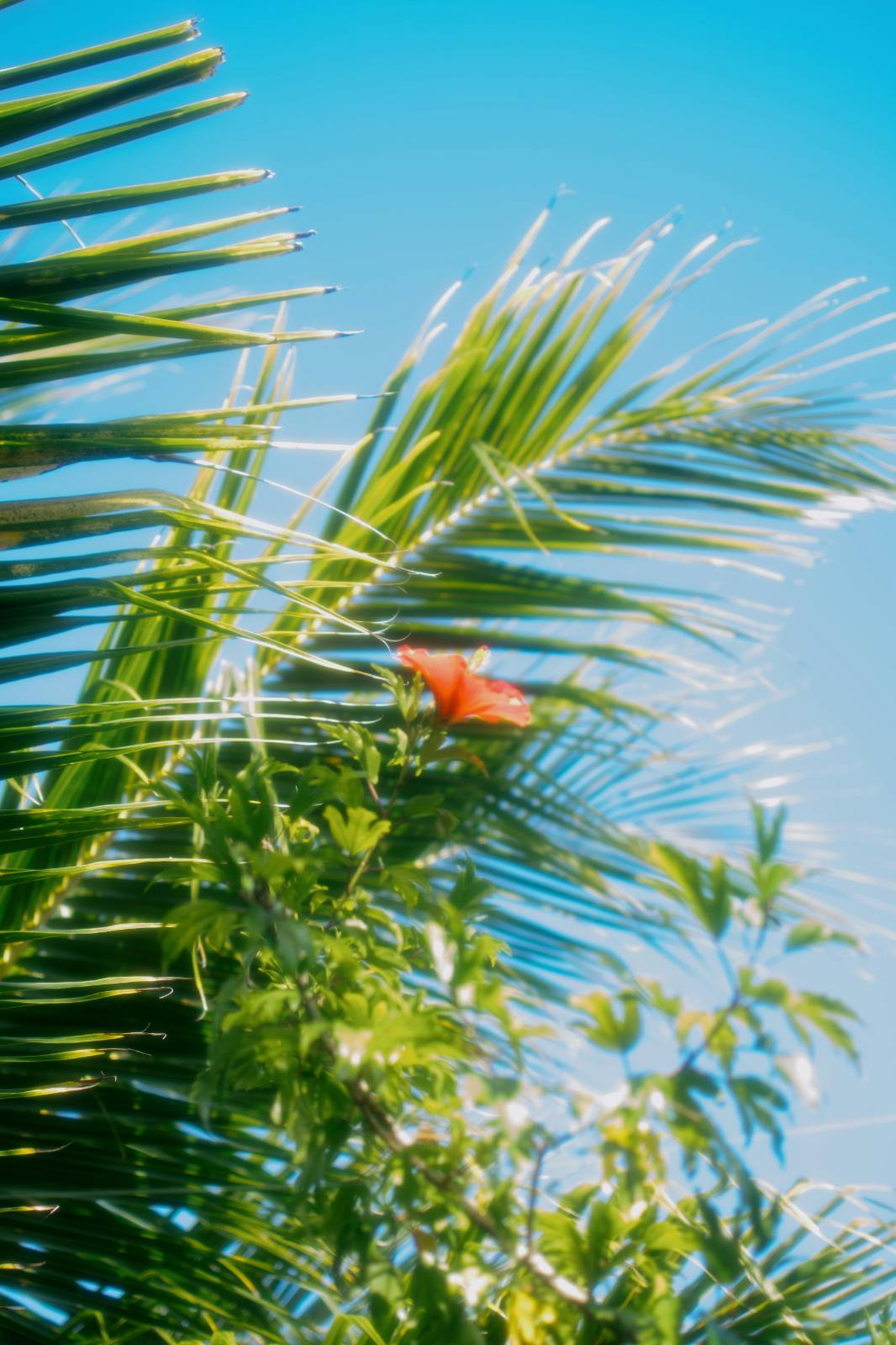 출처. UNSPLASH