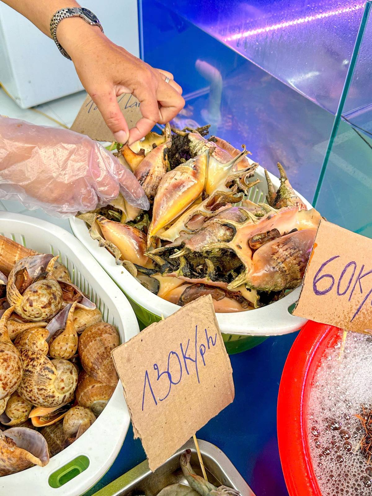 ์ฒจ๋ถ ์ด๋ฏธ์ง