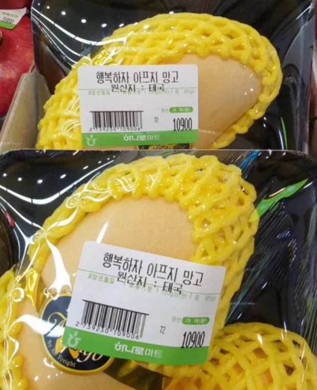 이미지 = 네이버 블로그 캡처 (https://blog.naver.com/dearbellebiche/223564284221)