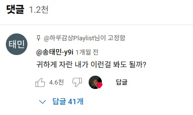 이미지 = 유튜브 댓글 캡처 (https://youtube.com/shorts/RMQOxW5St1c?feature=shared)