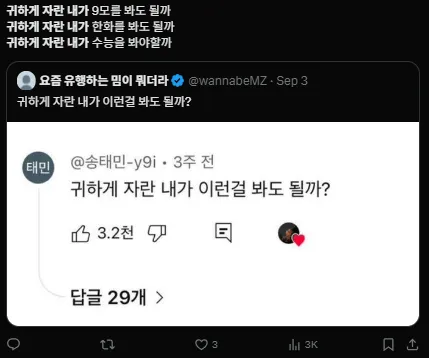 이미지 = X캡처 (https://x.com/siromonster/status/1963218333068603559)