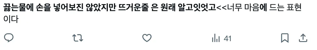 이미지 = X 캡처 (https://x.com/polar810/status/1963190944368672809)